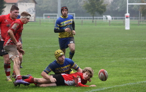 50859d3618f95_IMG_9701.JPG