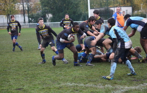 50a90dd3f3eff_IMG_0300.JPG