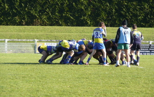 50bcb660139fb_P1030948.JPG