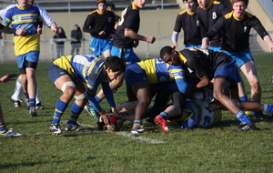 5120fac6c1a60_IMG_2760.JPG