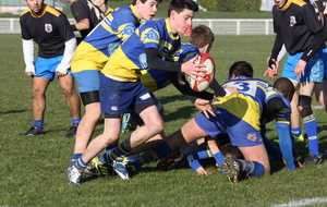 5120fb065bf81_IMG_2777.JPG