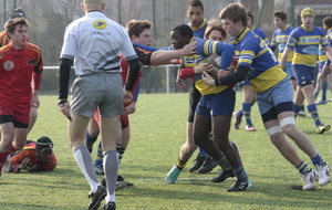 5158496537d23_MG5033.JPG