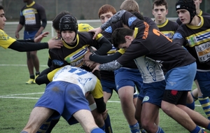 52d978cd5eb9d_PRCRueil12janvier201440.JPG