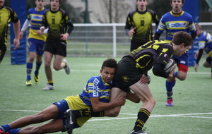 55071332947cc_IMG4082.JPG
