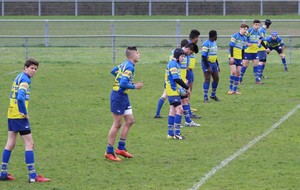 574c9532e015b_IMG3434.JPG