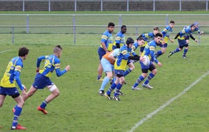 574c95402bf54_IMG3435.JPG