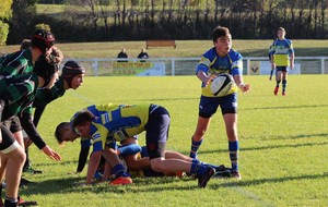 58050a9e78bc9_IMG3462.JPG