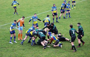 58c59264d233d_IMG0010.JPG