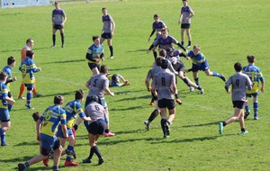 58ceb5ea03691_IMG0513.JPG