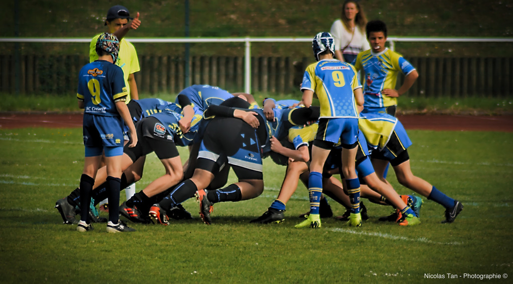 Rugby - Accueil - SCUF