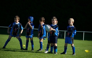 PLATEAU DEPARTEMENTAL LUTINS A  GARGENVILLE