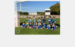 TOURNOI DEPARTEMENTAL U6- LUTINS A ACHERES