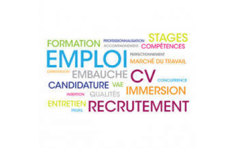 Aide à la Formation et à l'Insertion Professionnelle