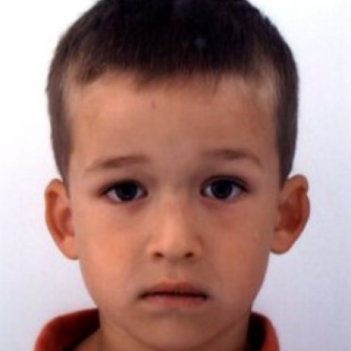 Arthur Drouet
