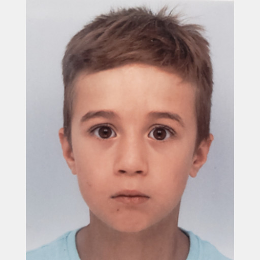 Noah Fogelgesang